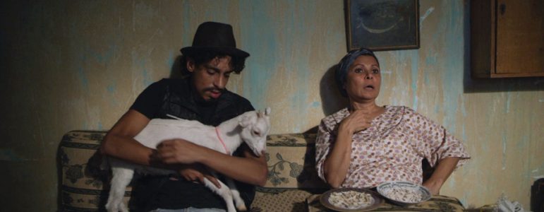 Ali The Goat And Malmo Arab Film Festival 